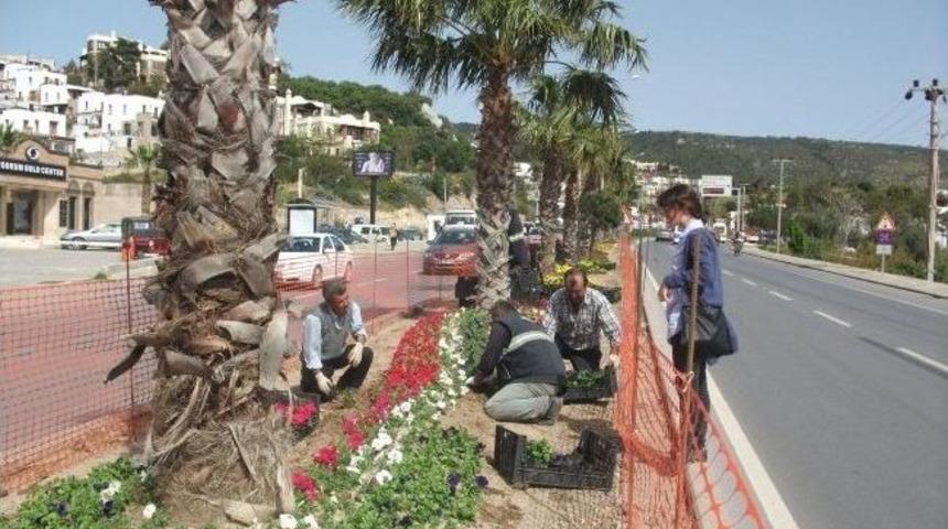 Bodrum, 50. Cumhurbaşkanlığı T&uuml;rkiye Bisiklet Turu&rsquo;na Hazırlanıyor