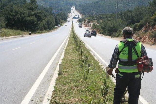 Bodrum, 50. Cumhurbaşkanlığı Türkiye Bisiklet Turu’na Hazırlanıyor