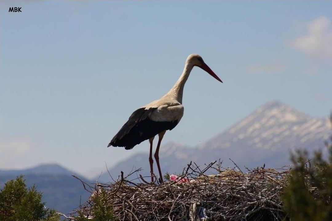 Doğa Y&uuml;r&uuml;y&uuml;şleri Grubu Leylekler Vadisi'nde