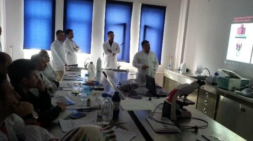 Yy&uuml;&rsquo;de &ldquo;uygulamalı H&uuml;cre K&uuml;lt&uuml;r&uuml; Ve Molek&uuml;ler Genetik Araştırmaları Kursu&rdquo;