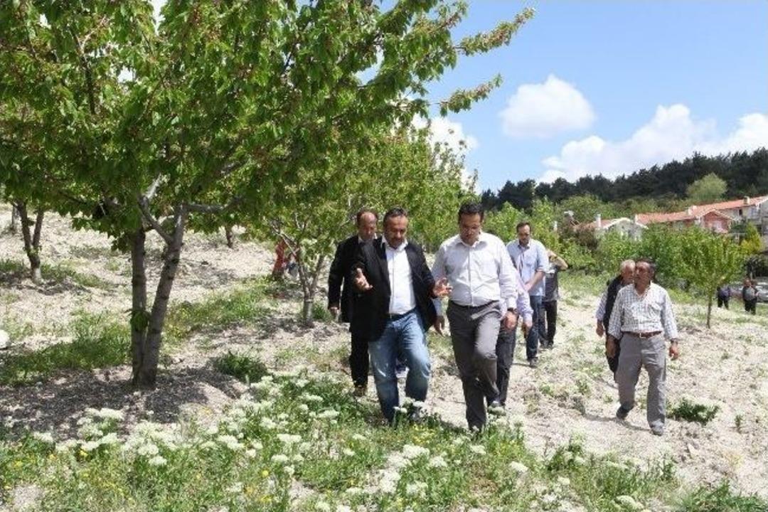 Bornova'nın Yeni Mahallelerinde Turizm Hamlesi