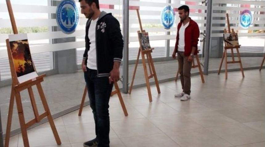 Km&uuml; &Ouml;ğrencisinden Renkli Fotoğraf Sergisi