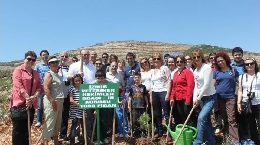 Doğa Dostu Veterinerler