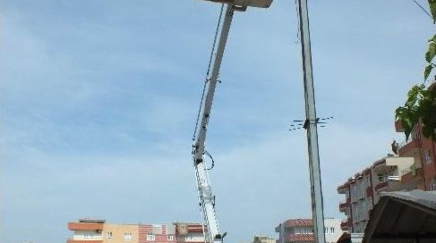 Dedaş Aydınlatmaya Devam Ediyor