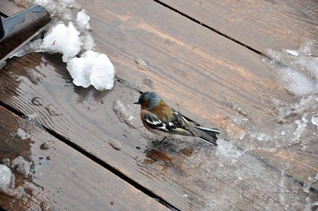 Uludağ'a Bahar Ayında Kar S&uuml;rprizi