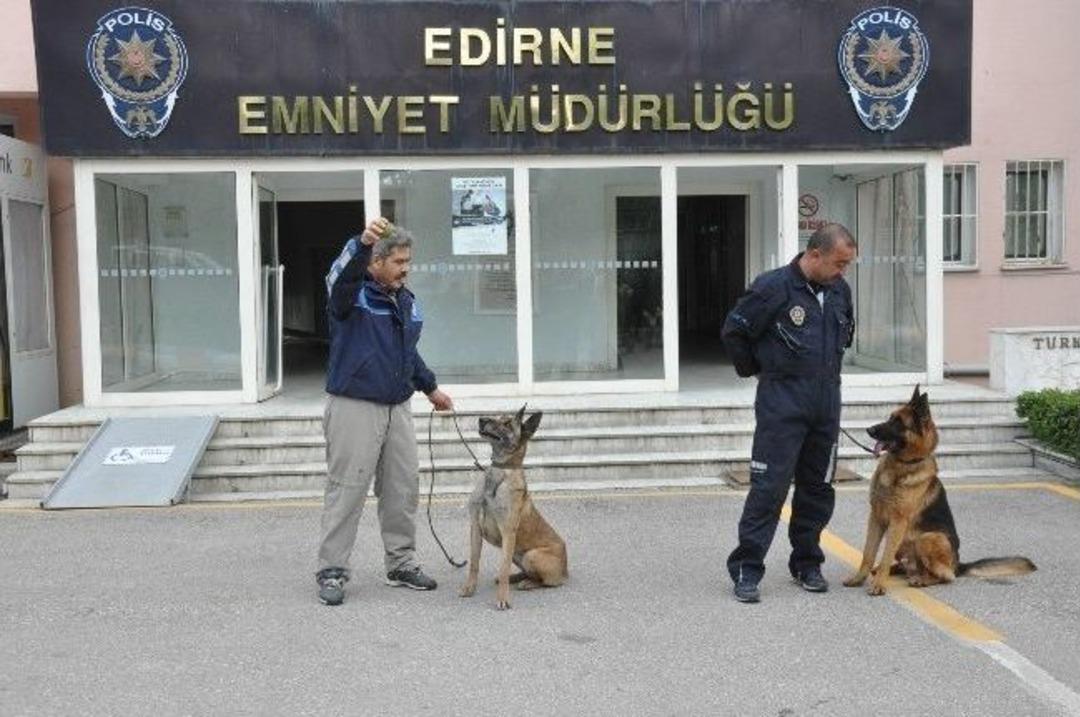 Narkotik Dedekt&ouml;r K&ouml;pekleri Sıla Ve Juba Tam Not Aldı