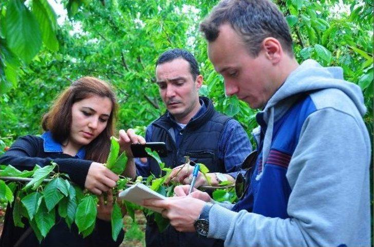 Manisa'da Çiftçiler Doludan Etkilendi G4