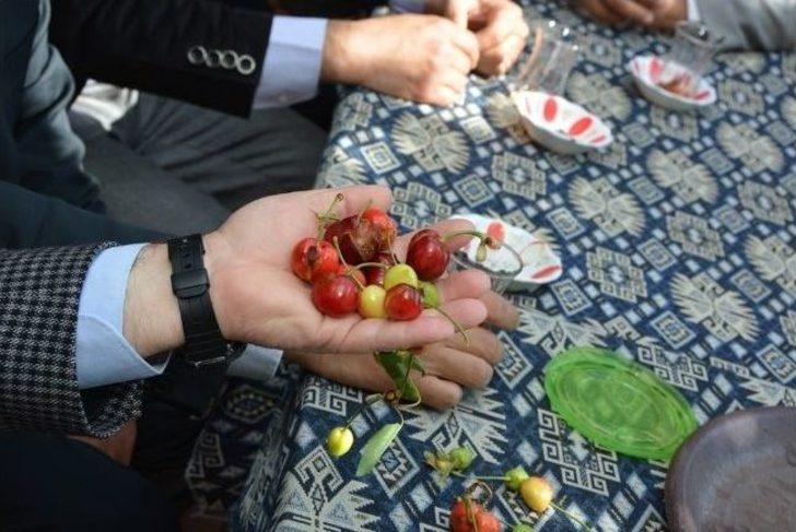 Manisa'da Çiftçiler Doludan Etkilendi G5