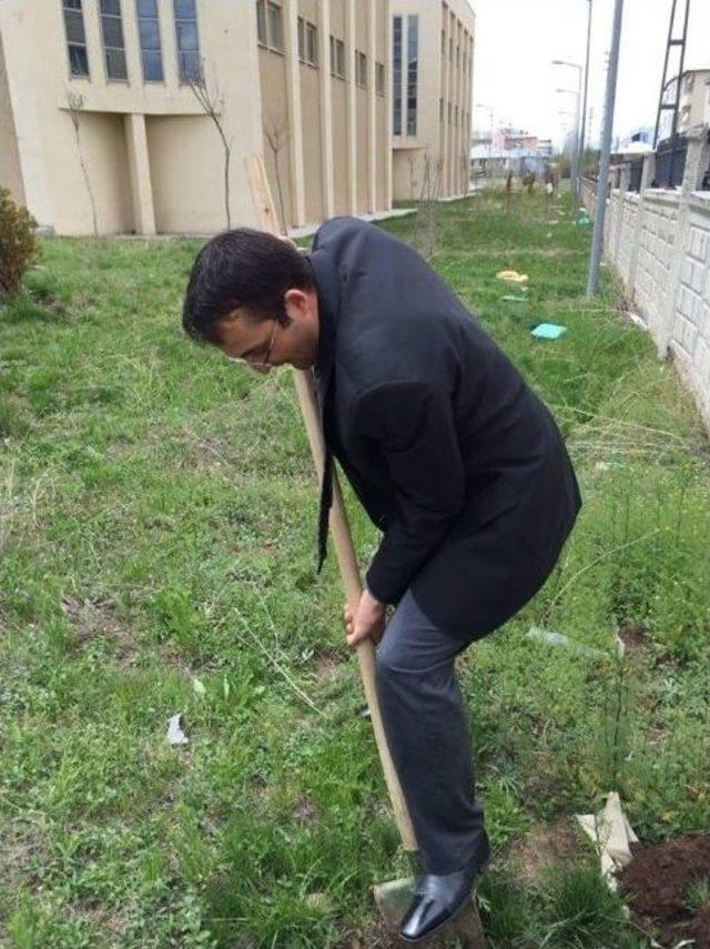 Bulanık Devlet Hastanesi Bahçesine Fidan Dikimi