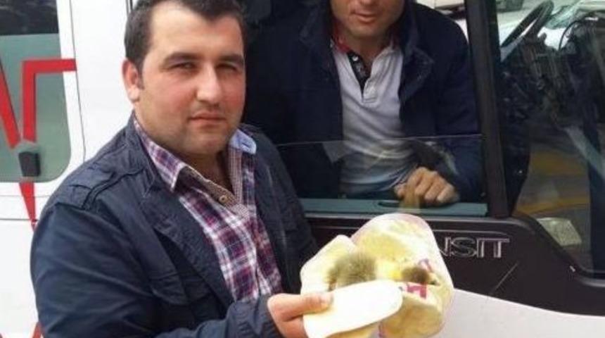 &Ccedil;ankırı Belediyesi'ne Ait Hayvan Ambulansı Hizmete Girdi