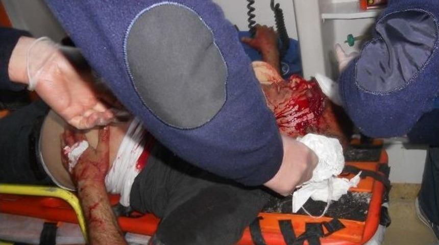 Kamyona &Ccedil;arpan Minib&uuml;ste Can Pazarı