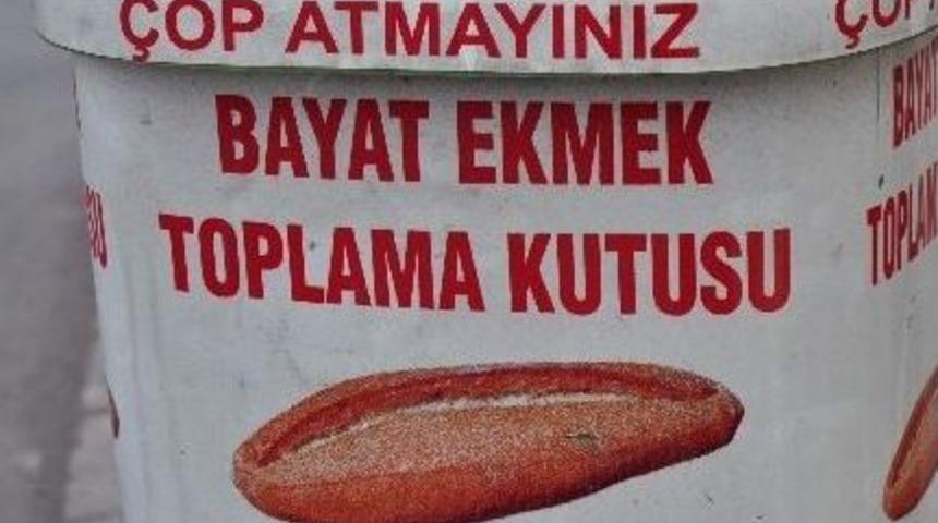 Kayseri'de Tepki &Ccedil;eken Duyarsızlık