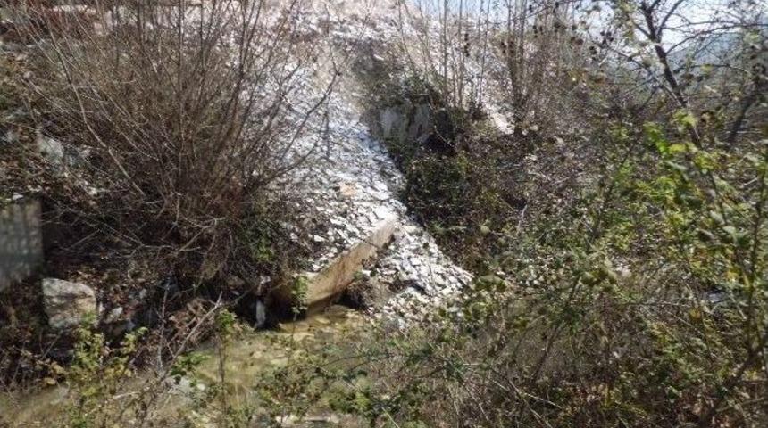 Kent Konseyi&rsquo;nin G&uuml;ndeminde &Ccedil;evre Var