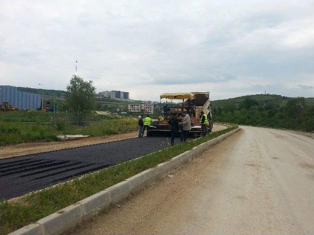 Düzce Üniversitesi Yolu Asfaltlanıyor