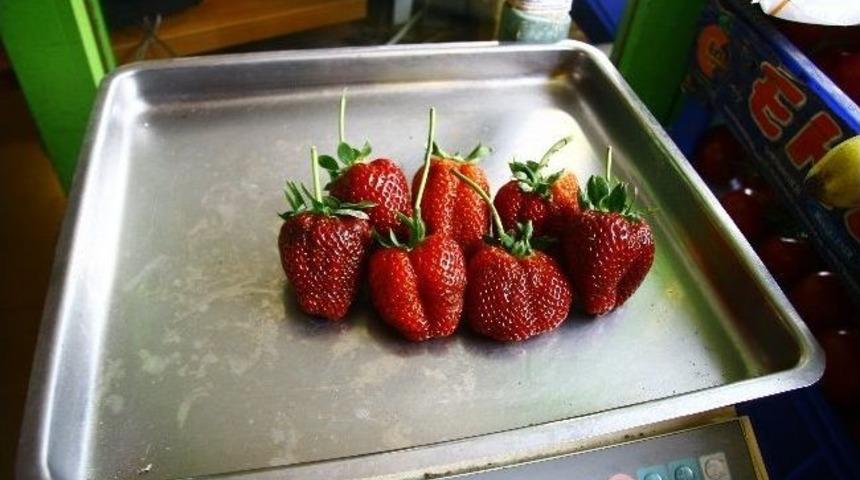 Bu &Ccedil;ileğin Tanesi 100 Gram