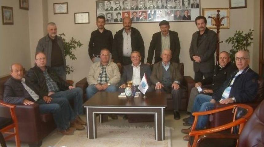 K&ouml;rfez Zeytin &Uuml;reticileri Federasyonu Kurulacak