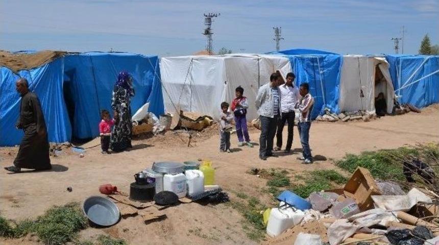 Suriyeli M&uuml;ltecilere "bir Tabak, Bir Battaniye" Kampanyası