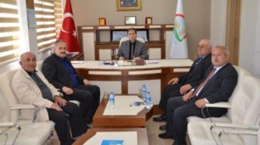 Yılda 10 Bin Ton Kiraz &Uuml;retiliyor