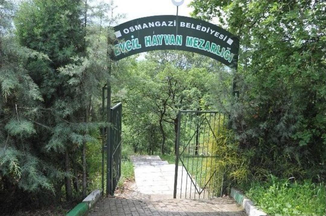 T&uuml;rkiye&rsquo;nin İlk Evcil Hayvan Mezarlığı B&uuml;y&uuml;t&uuml;l&uuml;yor