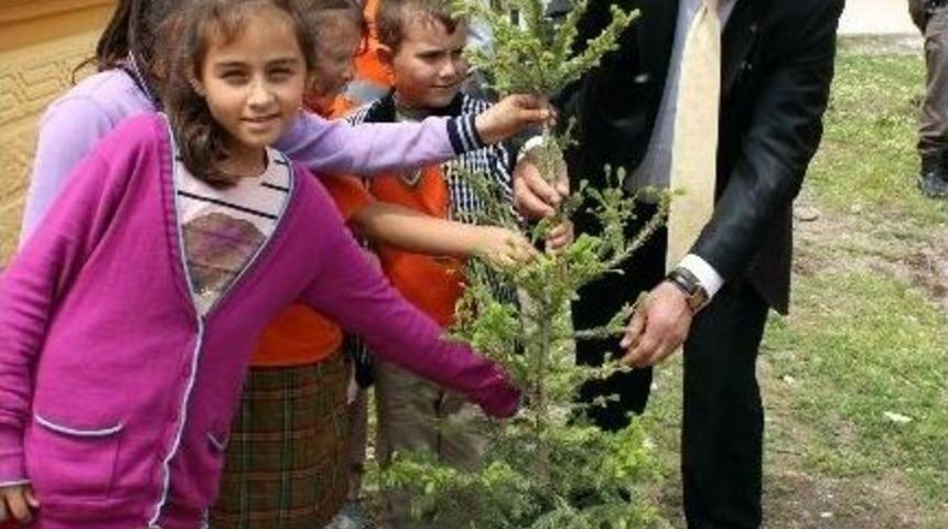 Kepsut'ta Fidan Dikimi