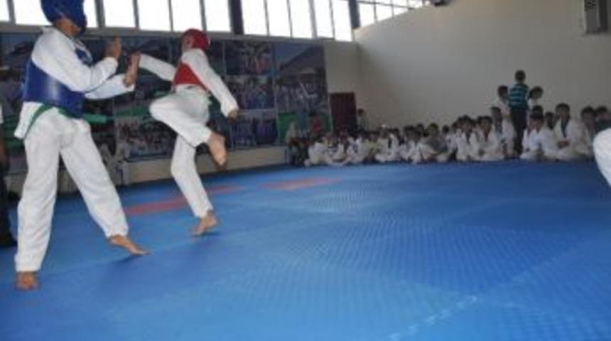 Vanlı Taekvandocular Finale Y&uuml;kseldi