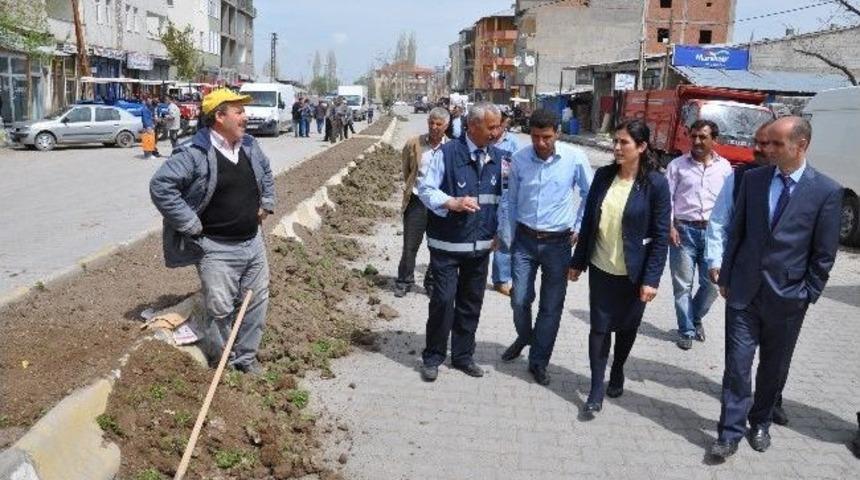 Bulanık Belediyesi Park Ve Bah&ccedil;elerde &Ccedil;imlendirme &Ccedil;alışması Başlattı