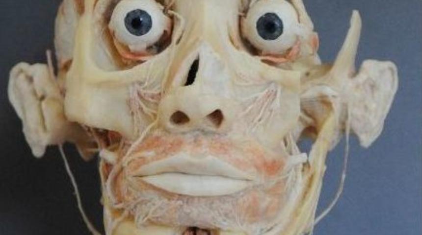 Su&ccedil; İşleyip Deli Rol&uuml; Yapanlar Mr&rsquo;la A&ccedil;ığa &Ccedil;ıkacak