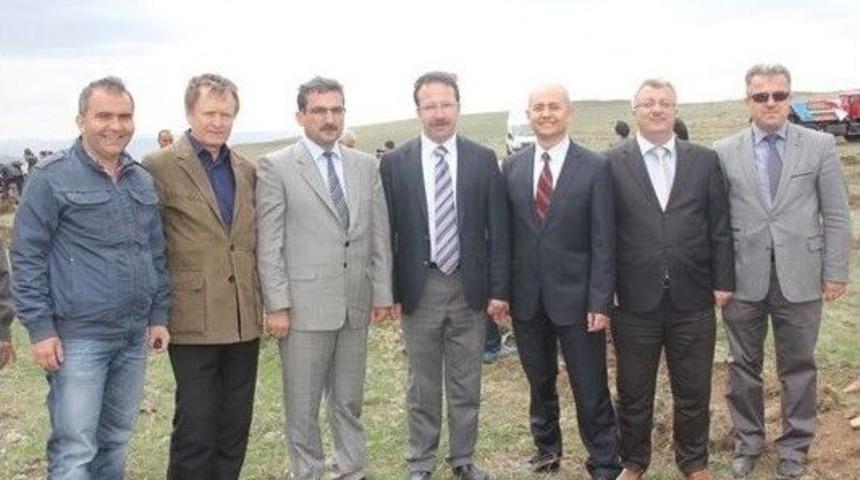 Erzurum Tabyaları Ağa&ccedil;landırılıyor