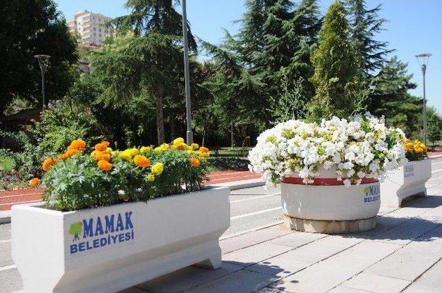 Mamak’ta Baharın Müjdecisi Parklar