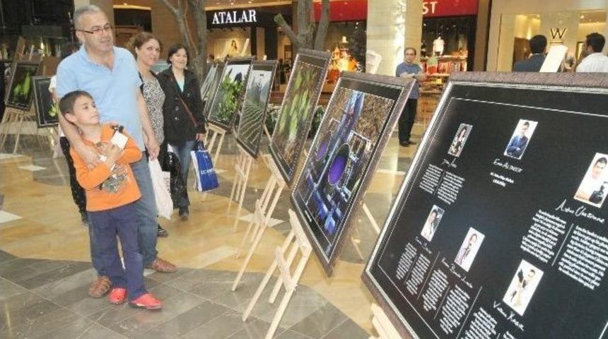 Pamuğun Tarladan Konfeksiyona Yolculuğu