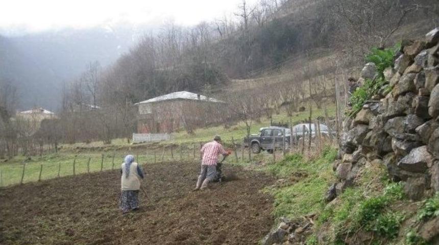 Ordulular Tarım, Orman Ve Balık&ccedil;ılığa Eğilimli