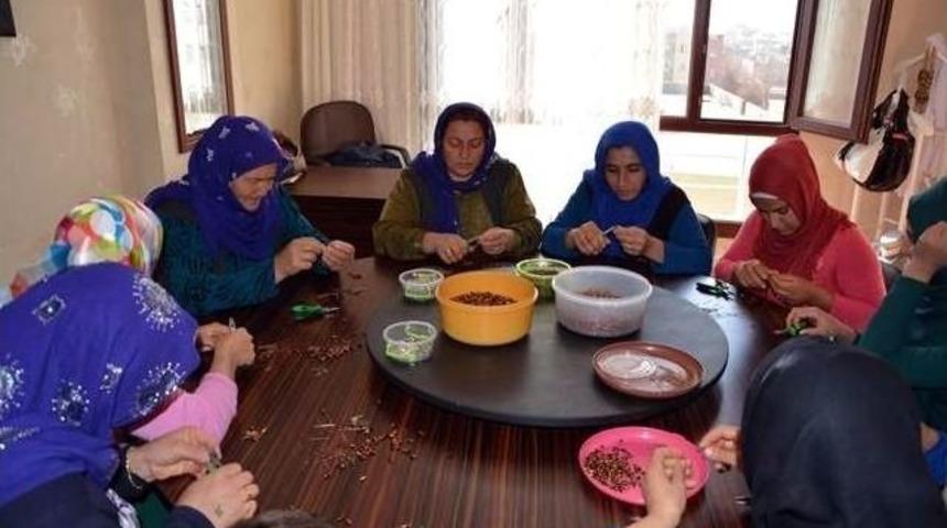 Viranşehir Adem Kurs Kayıtları Başladı