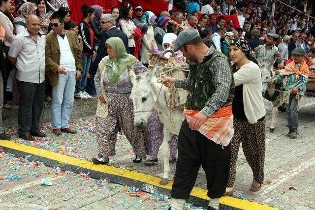 (özel Haber) Yörük Göçünde Eşek İnadı