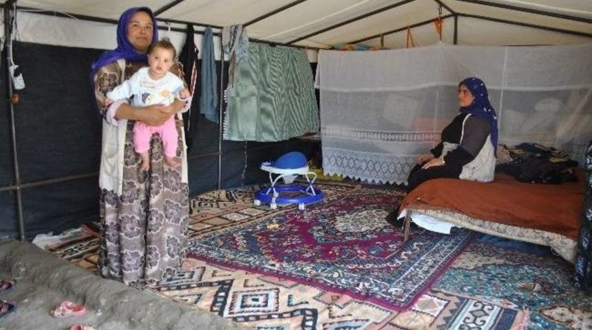 Yılın 6 Ayı &Ccedil;adır Hayatı