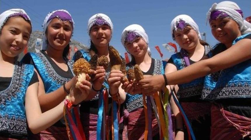 Kuzug&ouml;beği İhra&ccedil; &Uuml;r&uuml;n&uuml; Oldu