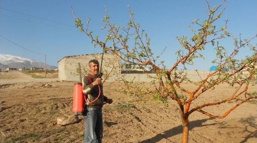 Adilcevaz&rsquo;da Bağ Bah&ccedil;e İşleri Başladı