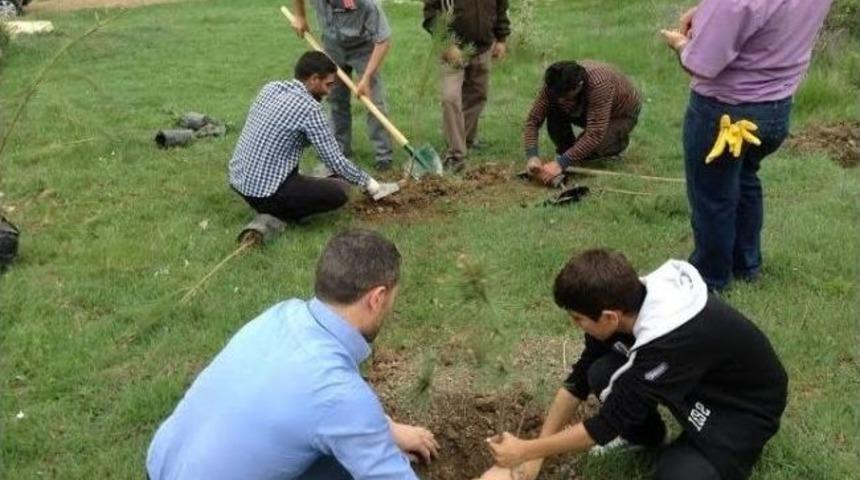 Erzurumlular Derneği 100 Adet &Ccedil;am Ağacı Dikti