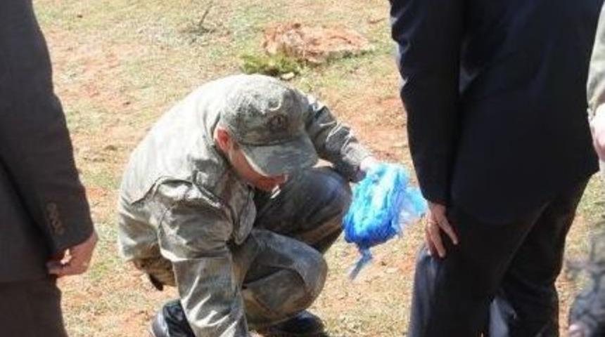 Jandarmadan Keneye Karşı Spreyli &Ouml;nlem