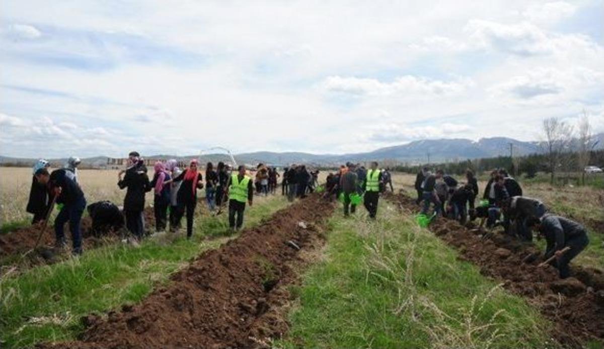 Et&uuml;&rsquo;de Fidan Dikim Ş&ouml;leni