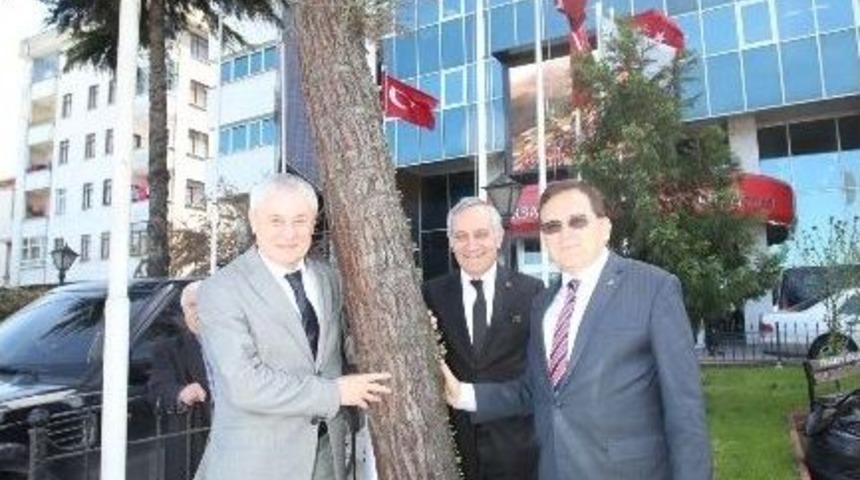 Karadeniz&rsquo;in İki Yakasını Birleştiren Dostluk Ağacı &Ouml;n&uuml;nde 14 Yıl Sonra Fotoğraf &Ccedil;ektirdi