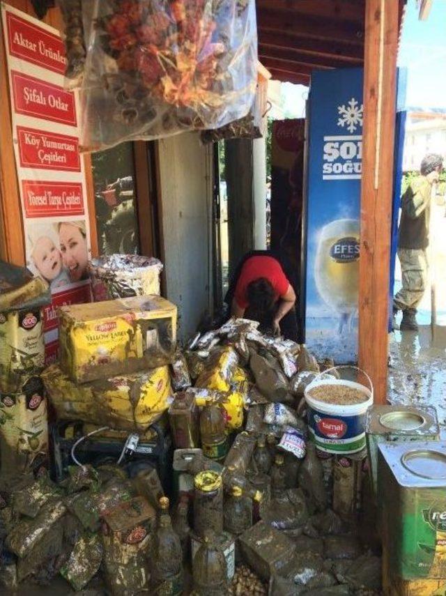 G&ouml;k&ccedil;eada da Koca S&uuml;r&uuml;den 2 Koyun Sağ Kaldı 1