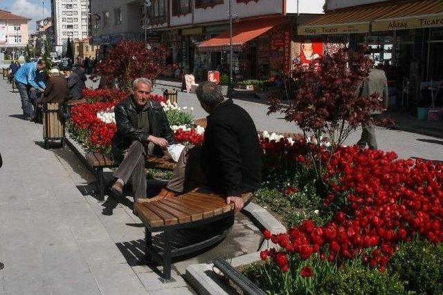 Yozgat Lalelerle Renklendi