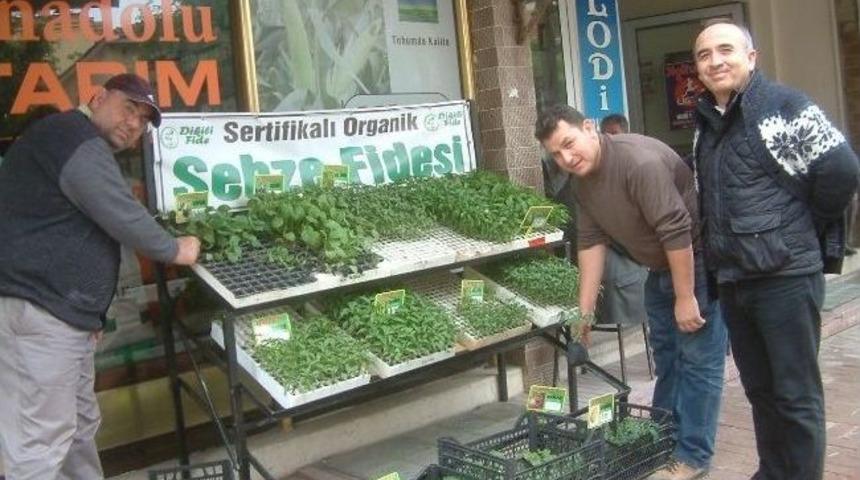 Burhaniye&rsquo;de Organik Sebze Fideleri Tutuldu
