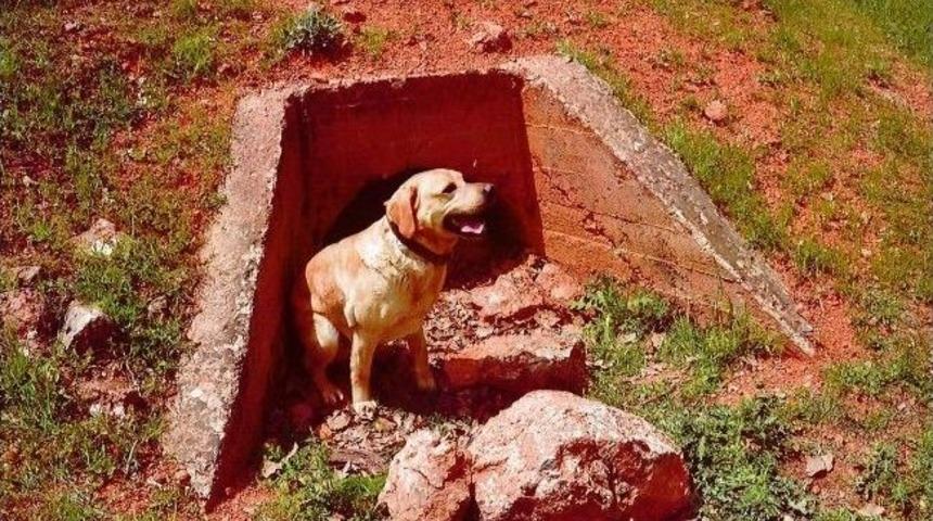 Siirt&rsquo;te M&uuml;himmat Ele Ge&ccedil;irildi