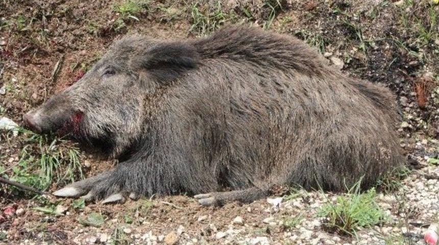 Bilecik'te İlgin&ccedil; Kaza