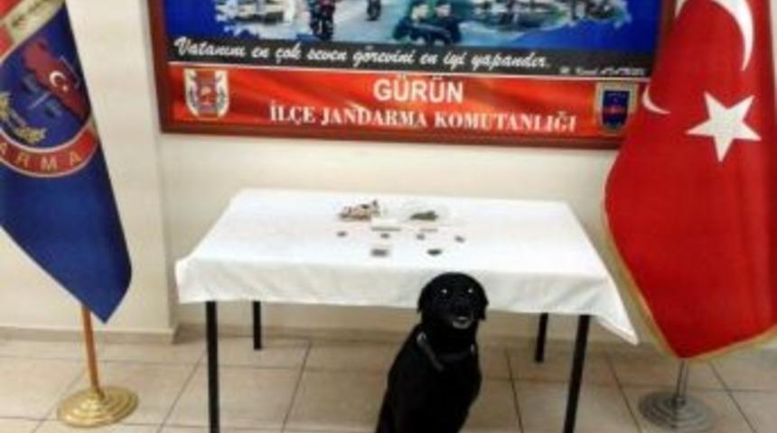 Cezaevine Uyuşturucu Sokarken Yakalandılar