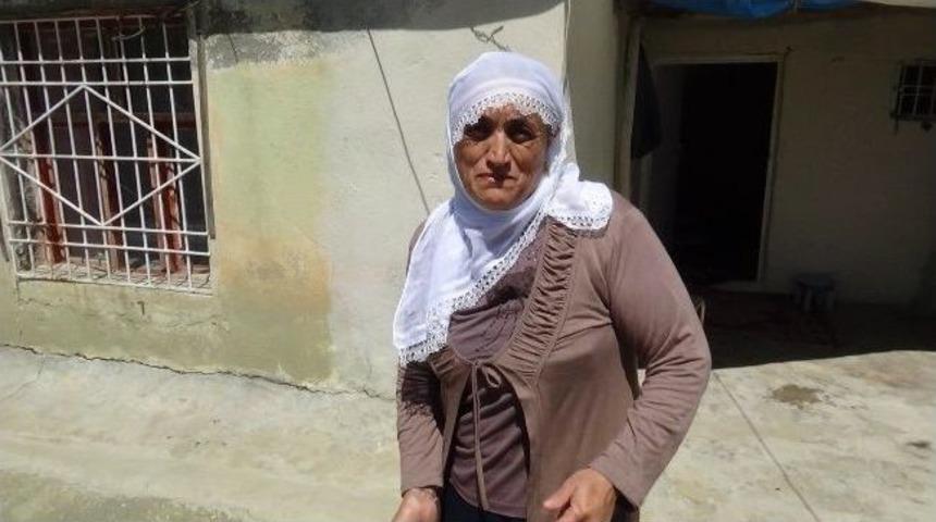 Fare, Yılan Ve Akreplerle Aynı Evi Paylaşıyor