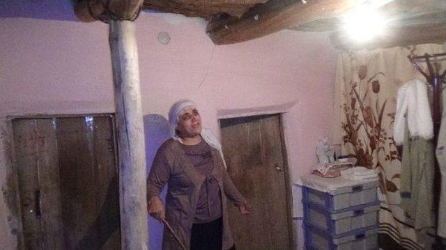 Fare, Yılan Ve Akreplerle Aynı Evi Paylaşıyor