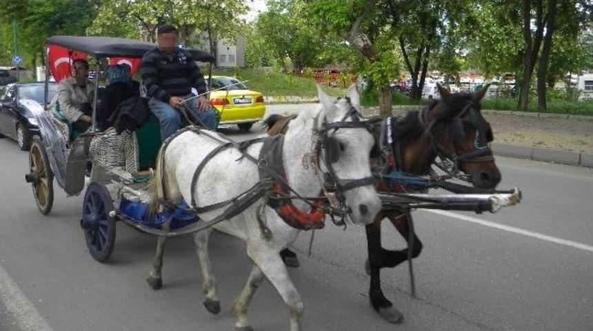 Turistlere Faytonlu Tur