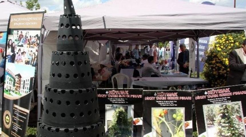 (&ouml;zel Haber) Sebzeler Tarla Yerine Balkonda Yetişecek